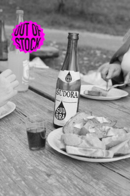 WAGENBAUGRUPPE – SUDORA